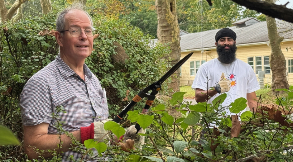 Two men pruning trees
